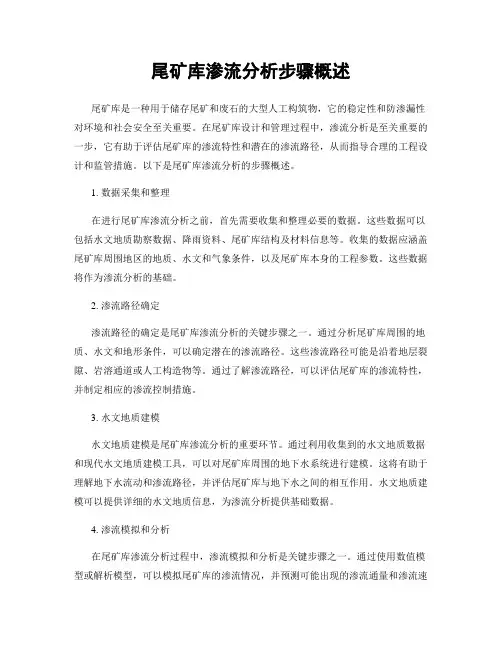 尾矿库渗流分析步骤概述