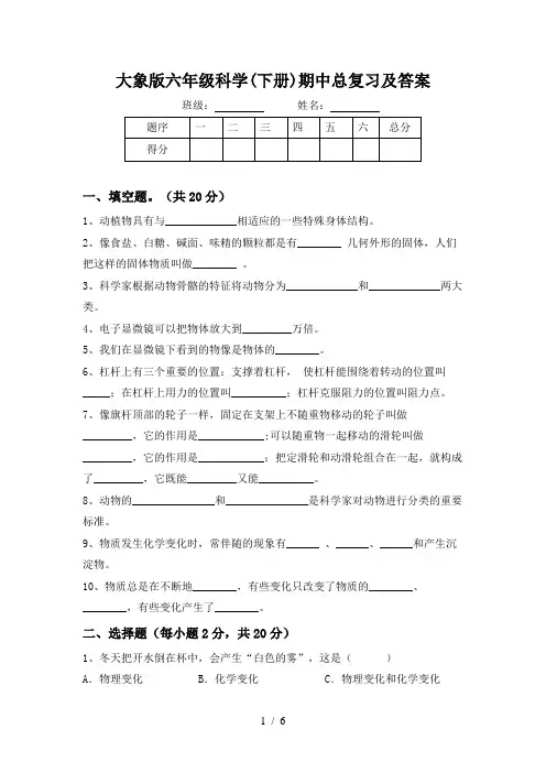大象版六年级科学(下册)期中总复习及答案