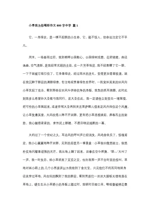 小草我为你喝彩作文800字中学