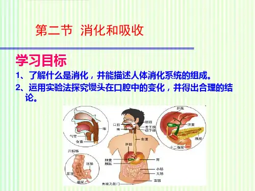 人教版初中生物七年级下册《2.2第二节 消化和吸收》课件(两套)