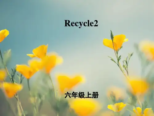 【人教版】(pep)小学英语六年级上册recycle 2教学课件(18张ppt)