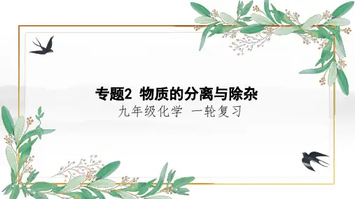专题2 物质的分离与提纯-2023年中考化学一轮专题复习课件(全国通用)