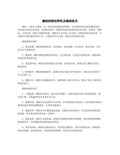 侧柏的特征特性及栽培技术