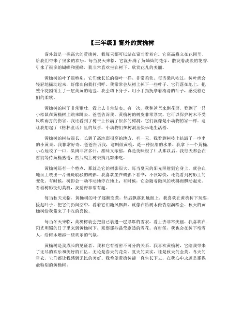 【三年级】窗外的黄桷树