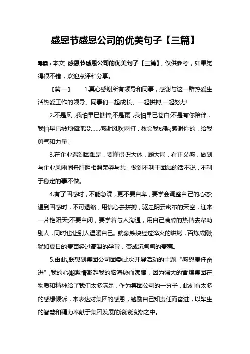 感恩节感恩公司的优美句子【三篇】