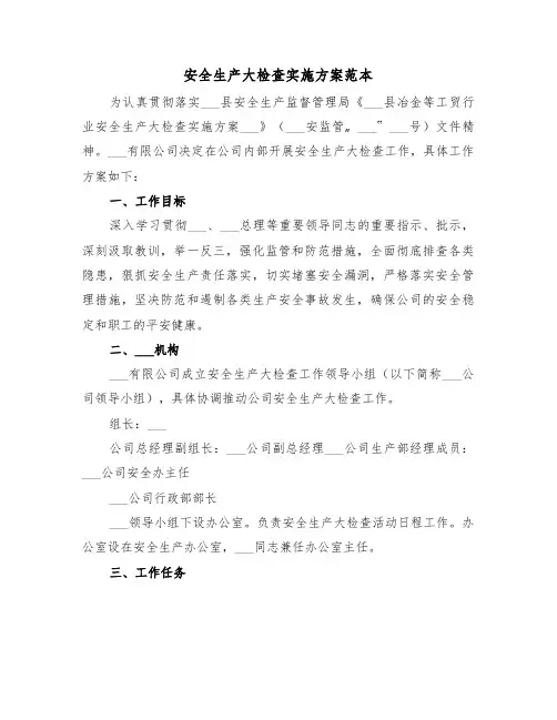 安全生产大检查实施方案范本(二篇)