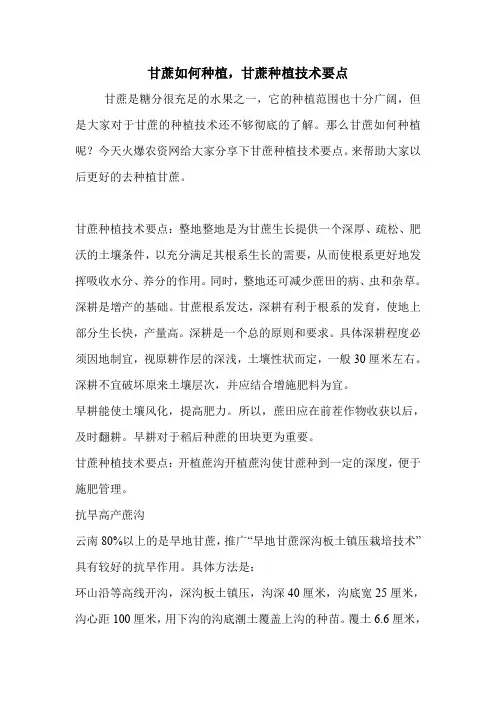 甘蔗如何种植,甘蔗种植技术要点.doc