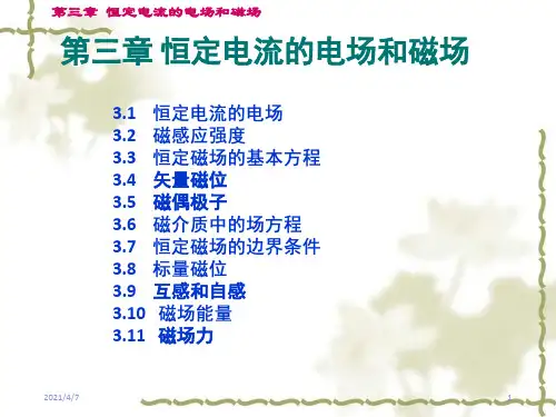 恒定电流的电场和磁场