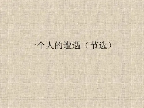 一个人的遭遇(节选)