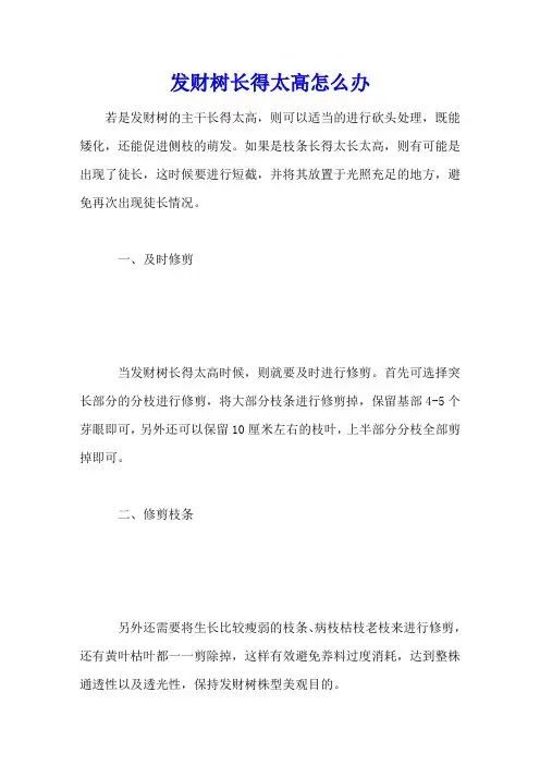 发财树长得太高怎么办