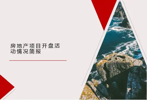 房地产项目开盘活动情况简报