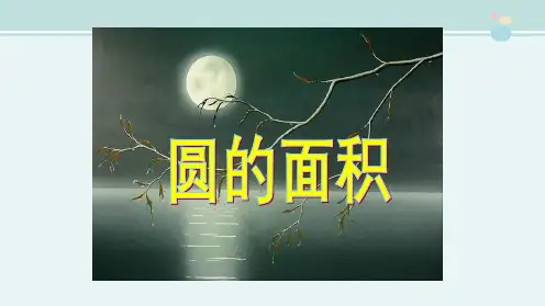 《圆的面积》获奖-完整版PPT课件