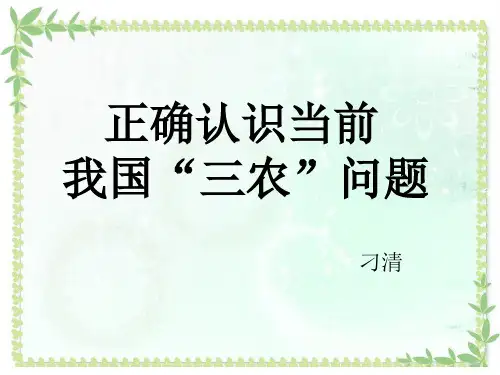 三农问题pptx
