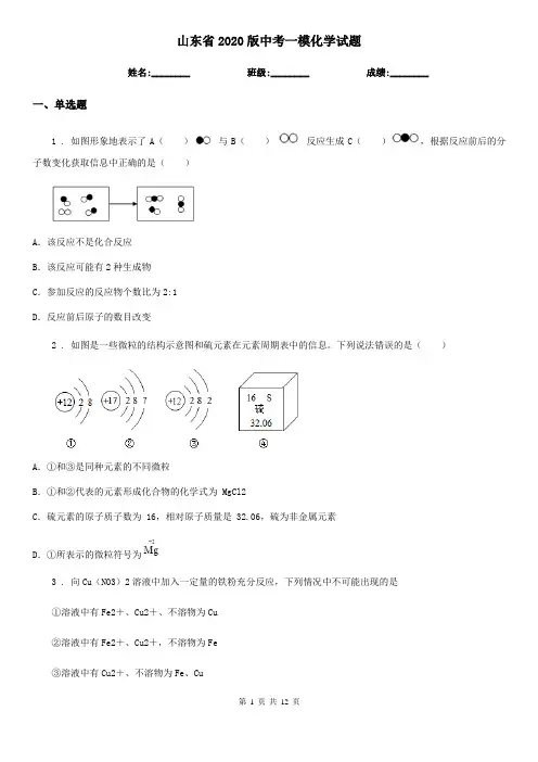 山东省2020版中考一模化学试题(模拟)