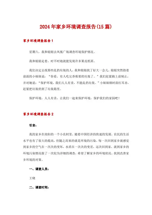2024年家乡环境调查报告(15篇)