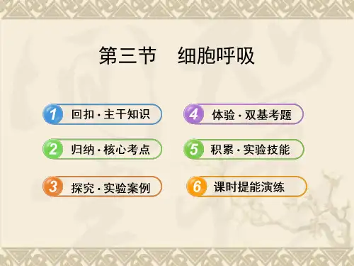 《细胞呼吸》课件(1)