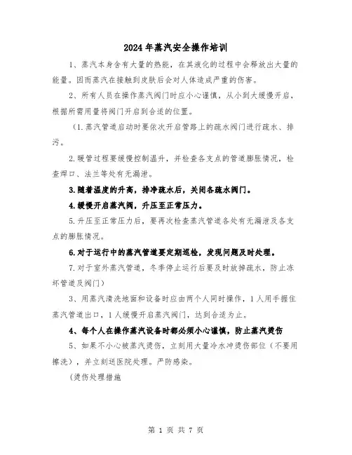 2024年蒸汽安全操作培训(三篇)