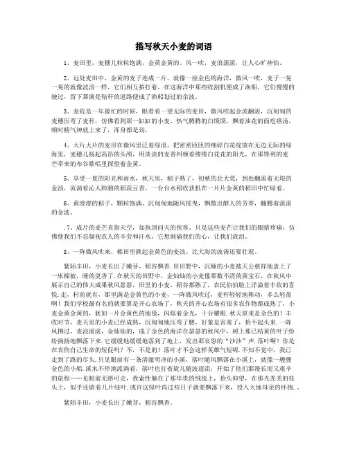 描写秋天小麦的词语