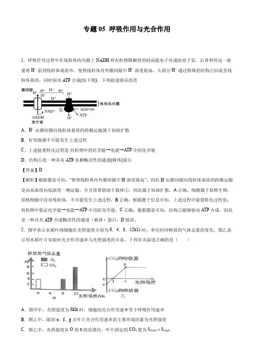 2020年高考生物精选考点专项突破5：呼吸作用与光合作用附解析