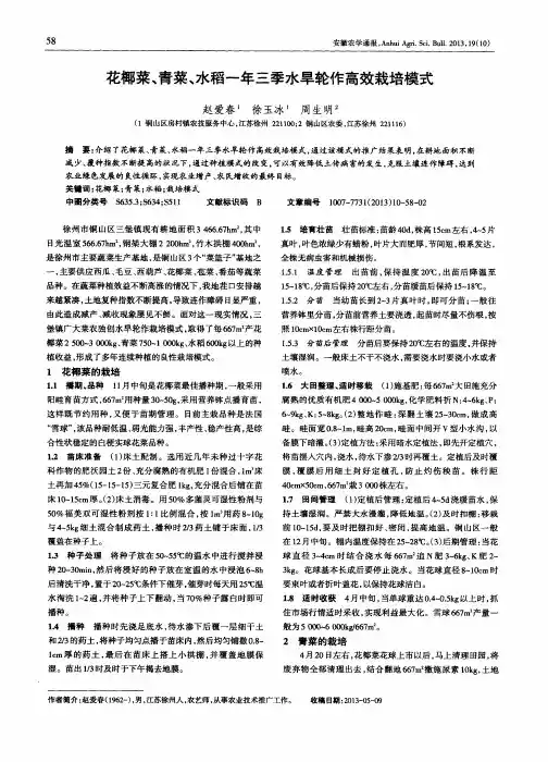 花椰菜、青菜、水稻一年三季水旱轮作高效栽培模式