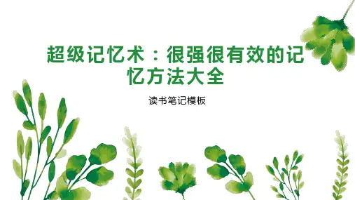 超级记忆术：很强很有效的记忆方法大全【2024版】