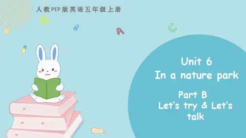 人教PEP版英语五年级上册Unit 6 Part B