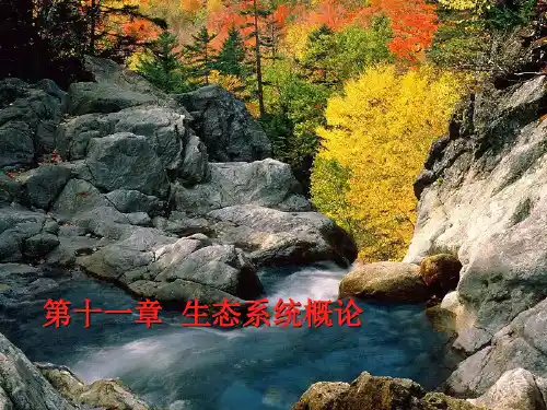 第11章生态系统概论