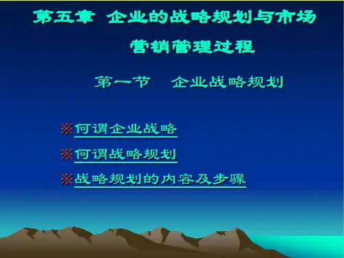 第五章企业战略规划与市场营销管理过程.ppt