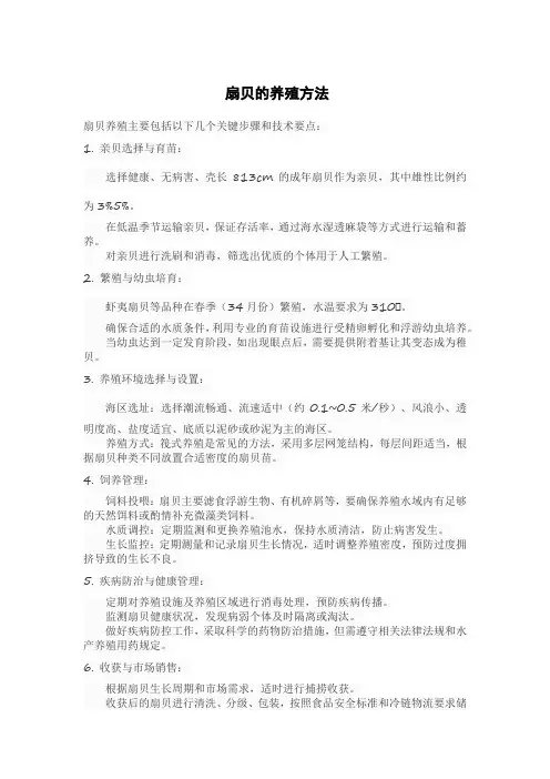 扇贝的养殖方法