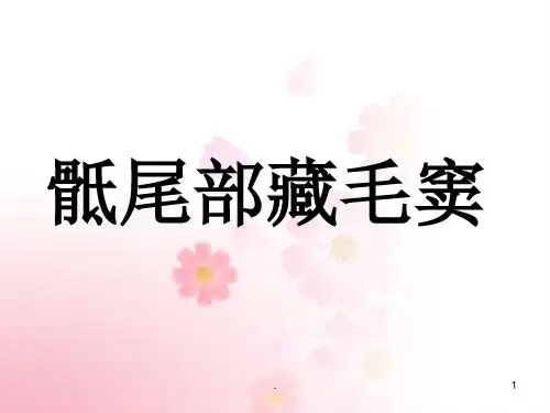 骶尾部藏毛窦ppt医学课件
