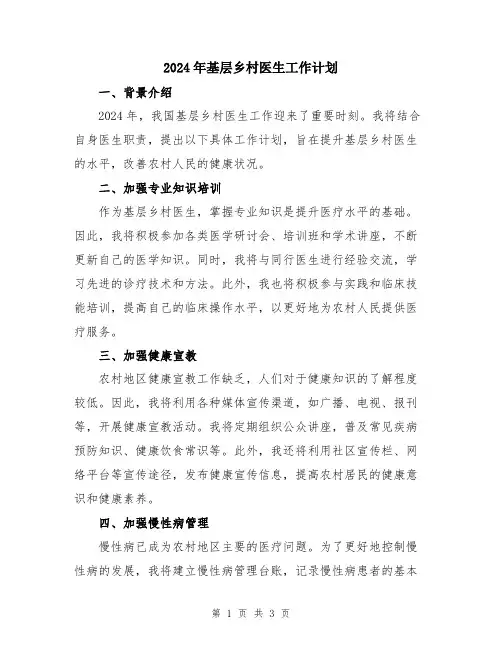 2024年基层乡村医生工作计划