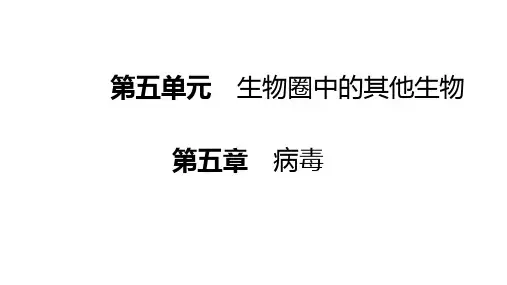 病毒(人教版生物)