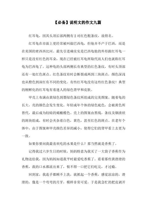 说明文的作文九篇(1)精选