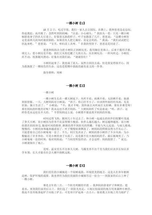一棵小树作文
