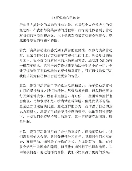 浇菜劳动心得体会
