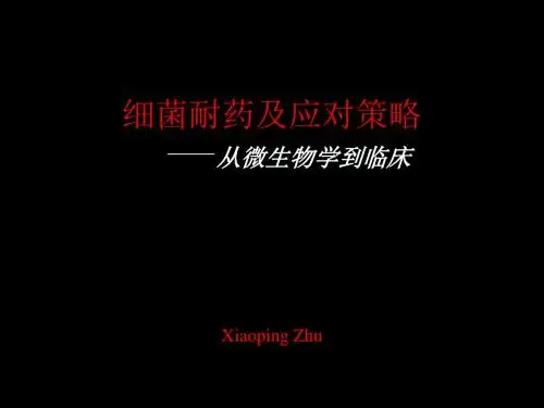 细菌耐药及应对策略ppt课件