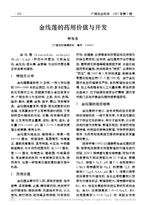 金线莲的药用价值与开发