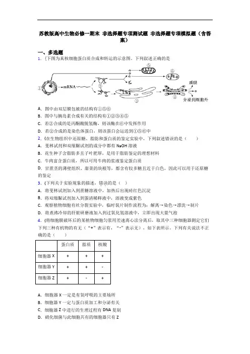 苏教版高中生物必修一期末 非选择题专项测试题 非选择题专项模拟题(含答案)