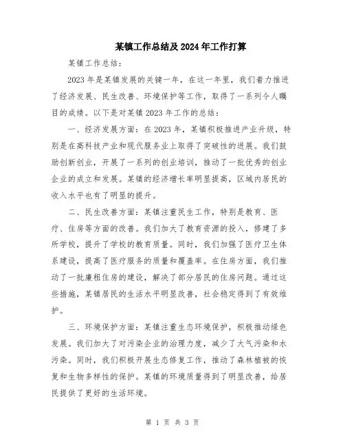 某镇工作总结及2024年工作打算