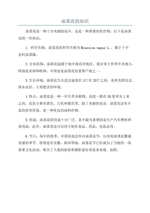 油菜花的知识
