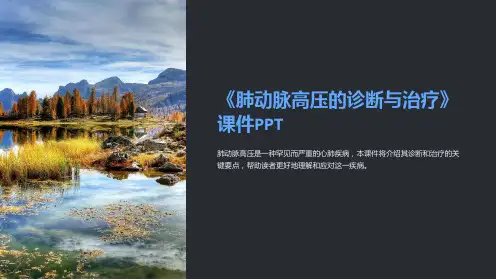 《肺动脉高压的诊断与治疗》课件PPT