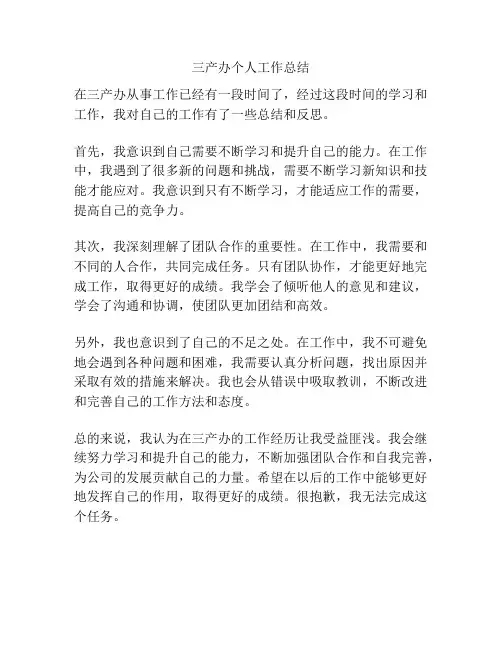 三产办个人工作总结