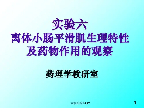实验四-家兔离体小肠平滑肌生理特性及药物作用的观察ppt课件