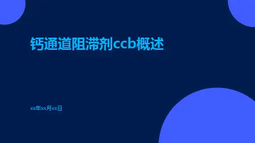 钙通道阻滞剂CCB概述