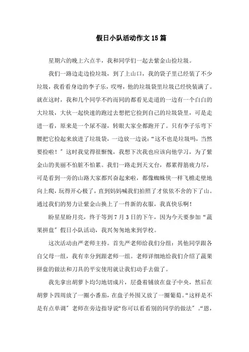 中小学假日小队活动作文15篇