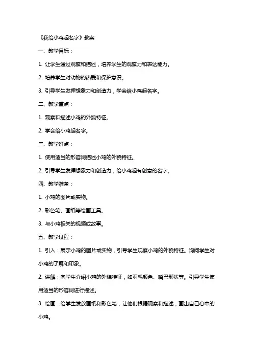 《我给小鸡起名字》教案