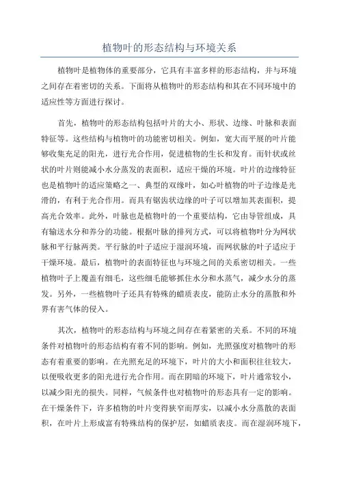 植物叶的形态结构与环境关系