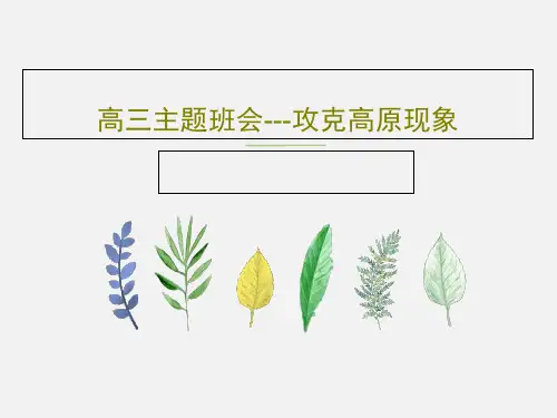 高三主题班会---攻克高原现象33页PPT