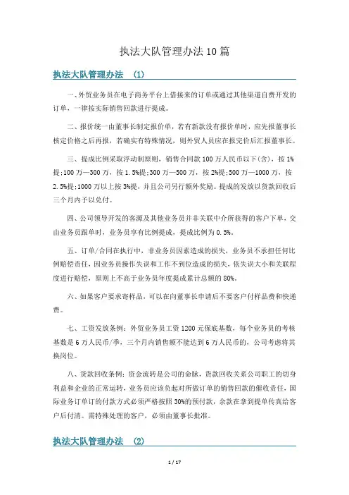 执法大队管理办法10篇
