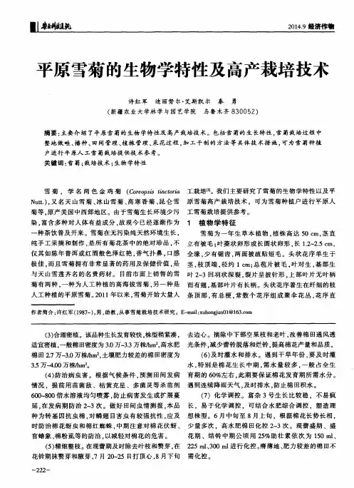 平原雪菊的生物学特性及高产栽培技术